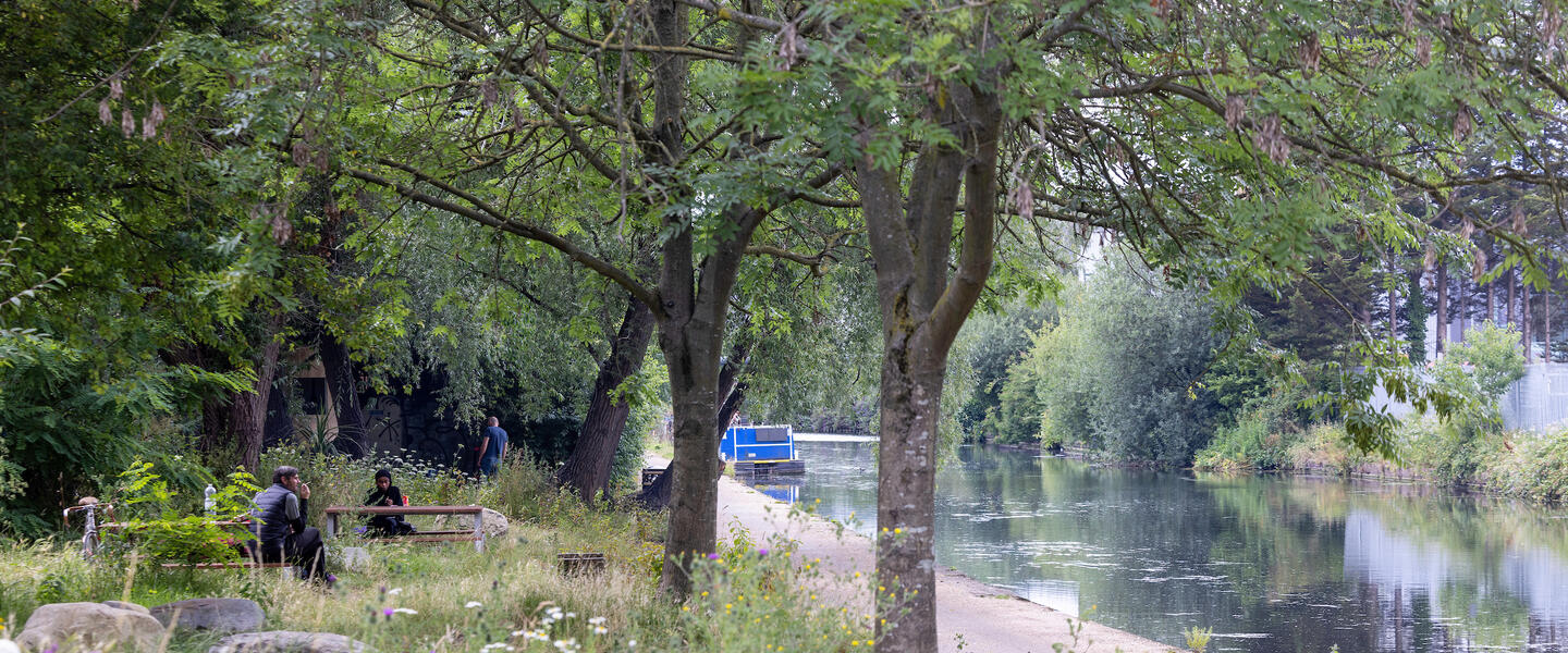Bank of a canalside with wild flowers, trees and people sitting at a bench