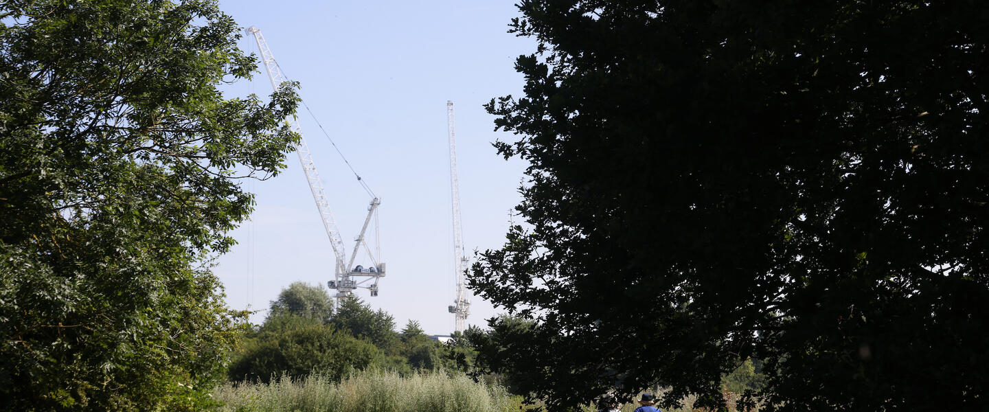 Image of wide green space with trees, tall grass and cranes in the background